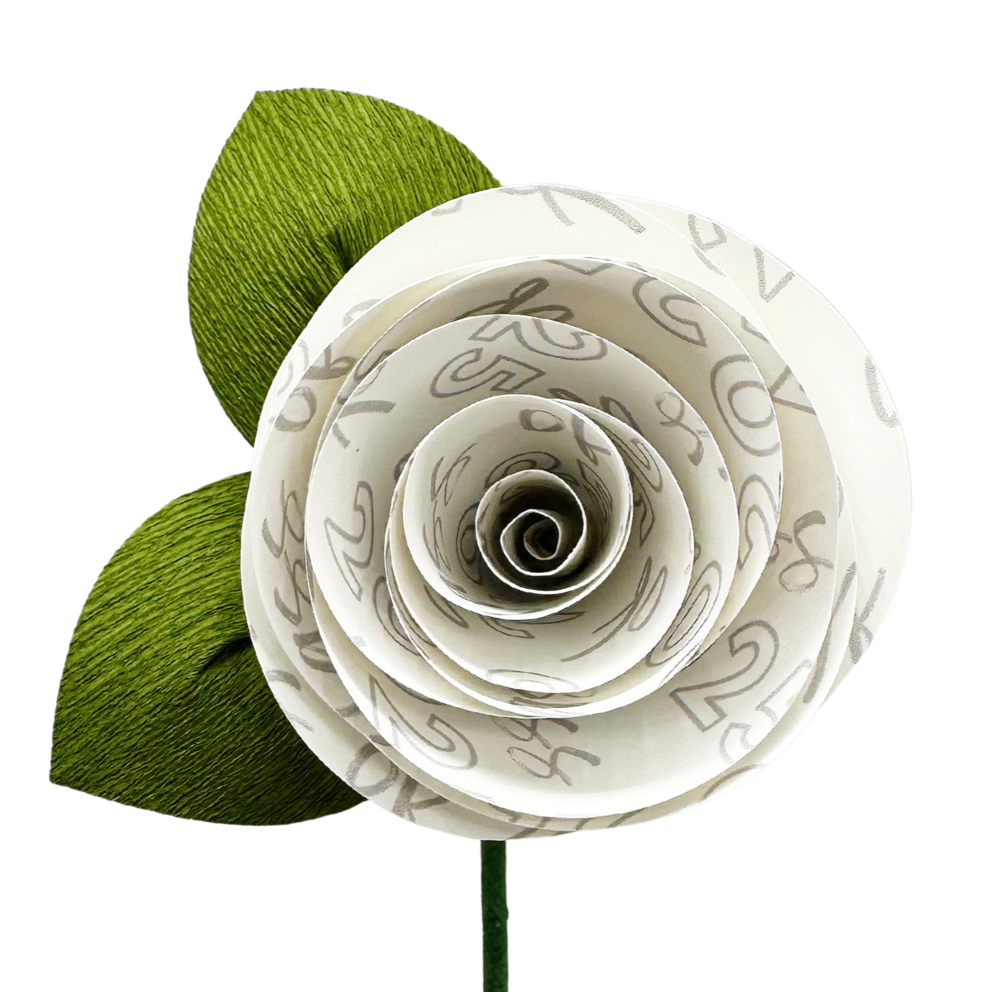 Class of 2026 Rose | Love, Anji - Paper Florist